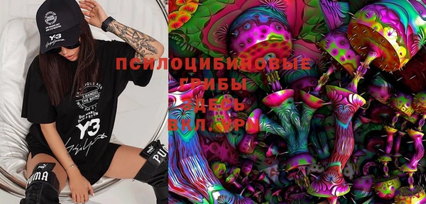 МДПВ Абаза
