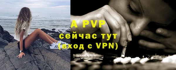 стафф Абинск