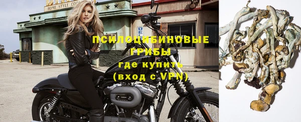 МДПВ Абаза