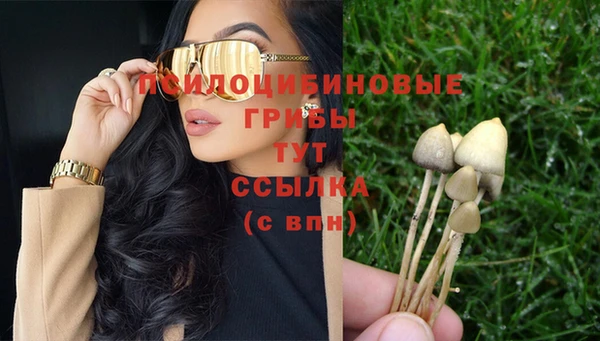 стафф Абинск