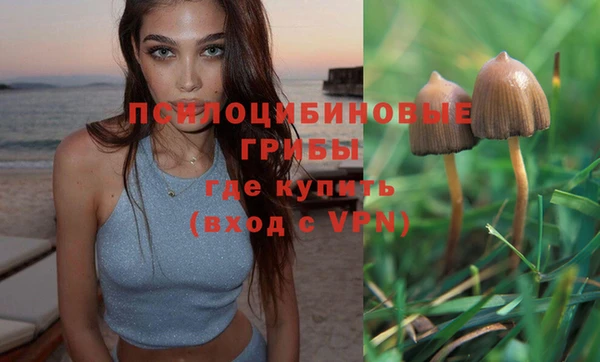 стафф Абинск