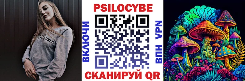 наркота  Мурино  Галлюциногенные грибы Psilocybine cubensis 