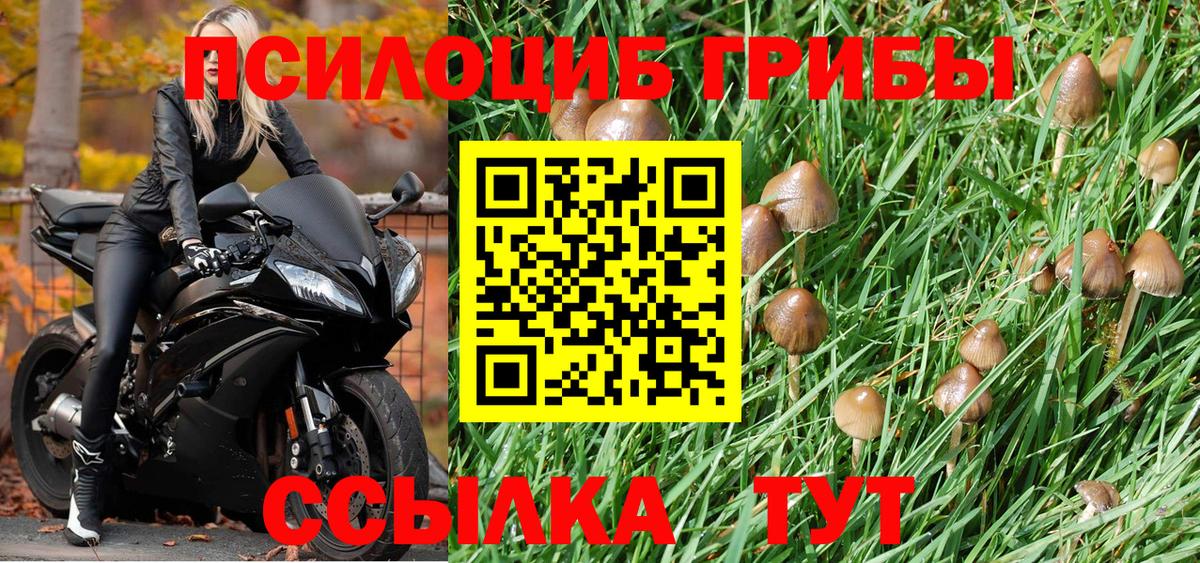 Псилоцибиновые грибы ЛСД Мурино